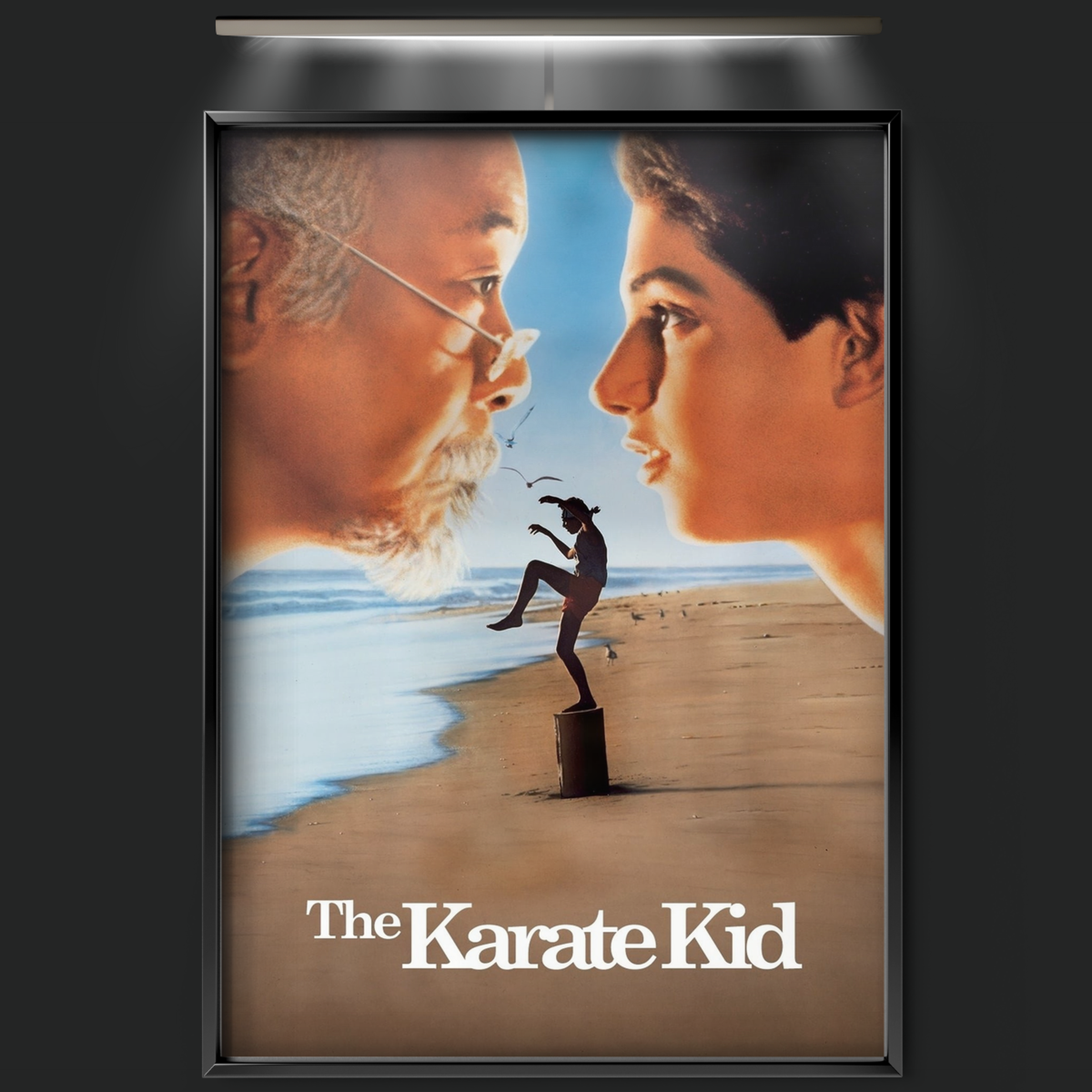 The Karate Kid (1984)