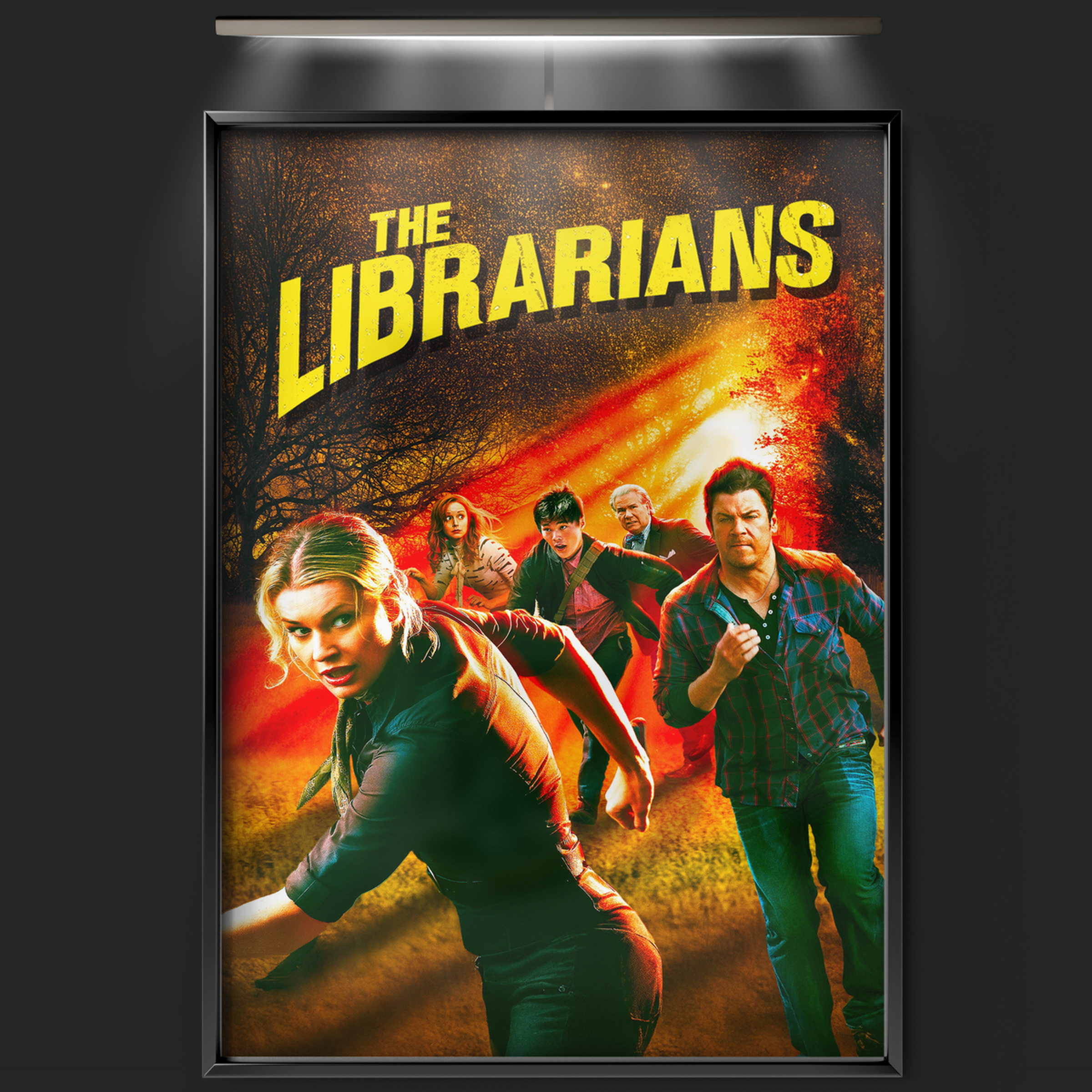 The Librarians (2014)