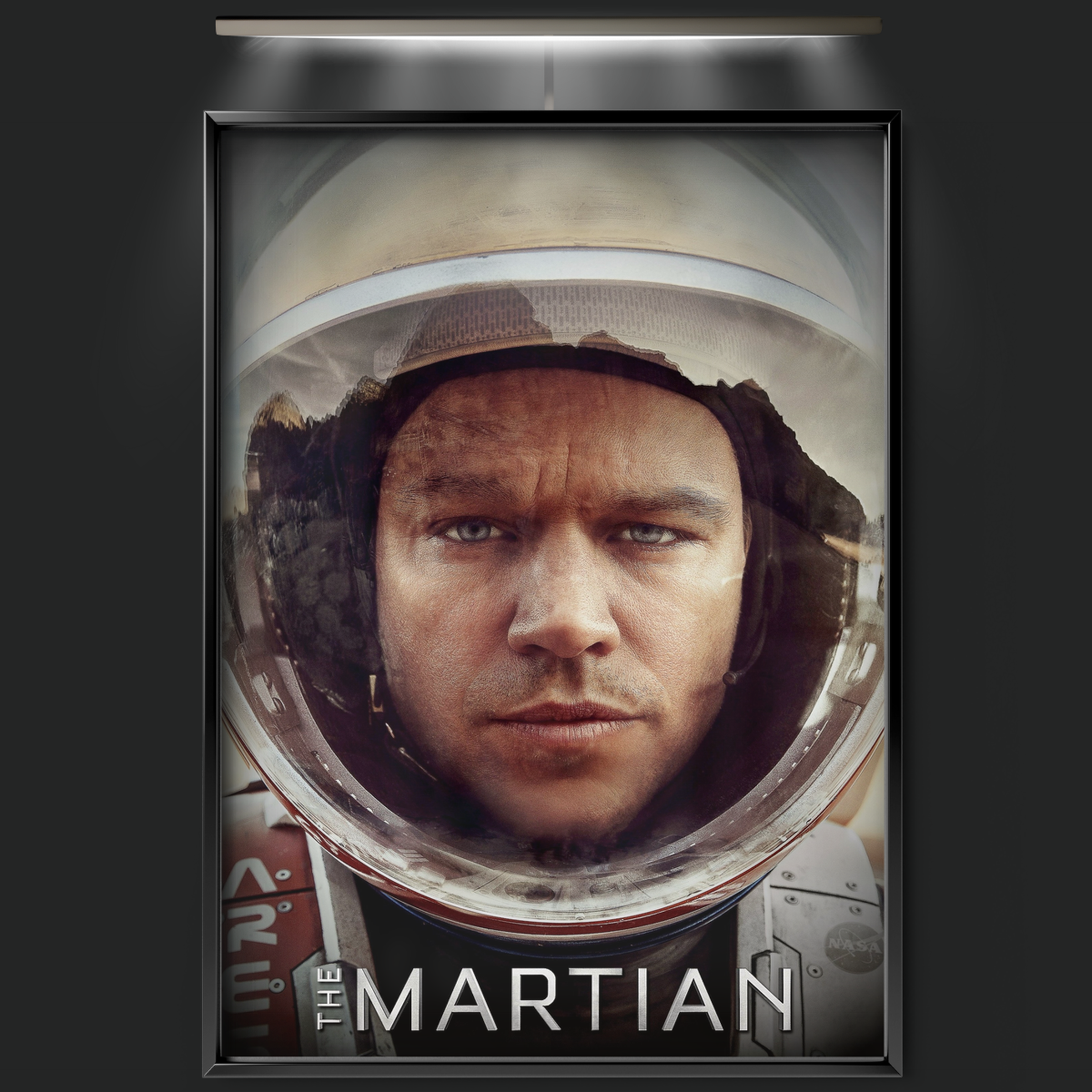 The Martian (2015)