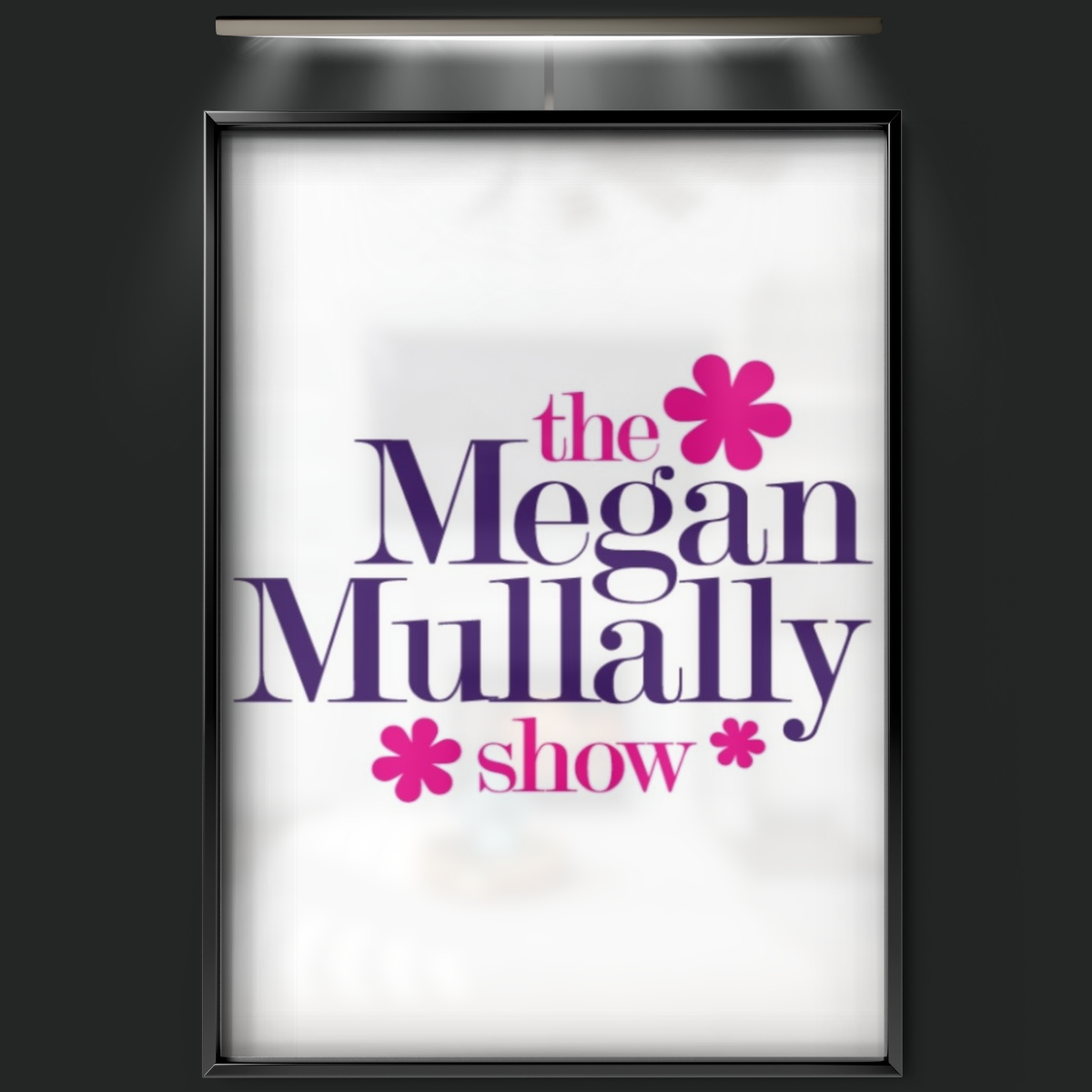 The Megan Mullally Show (2006)