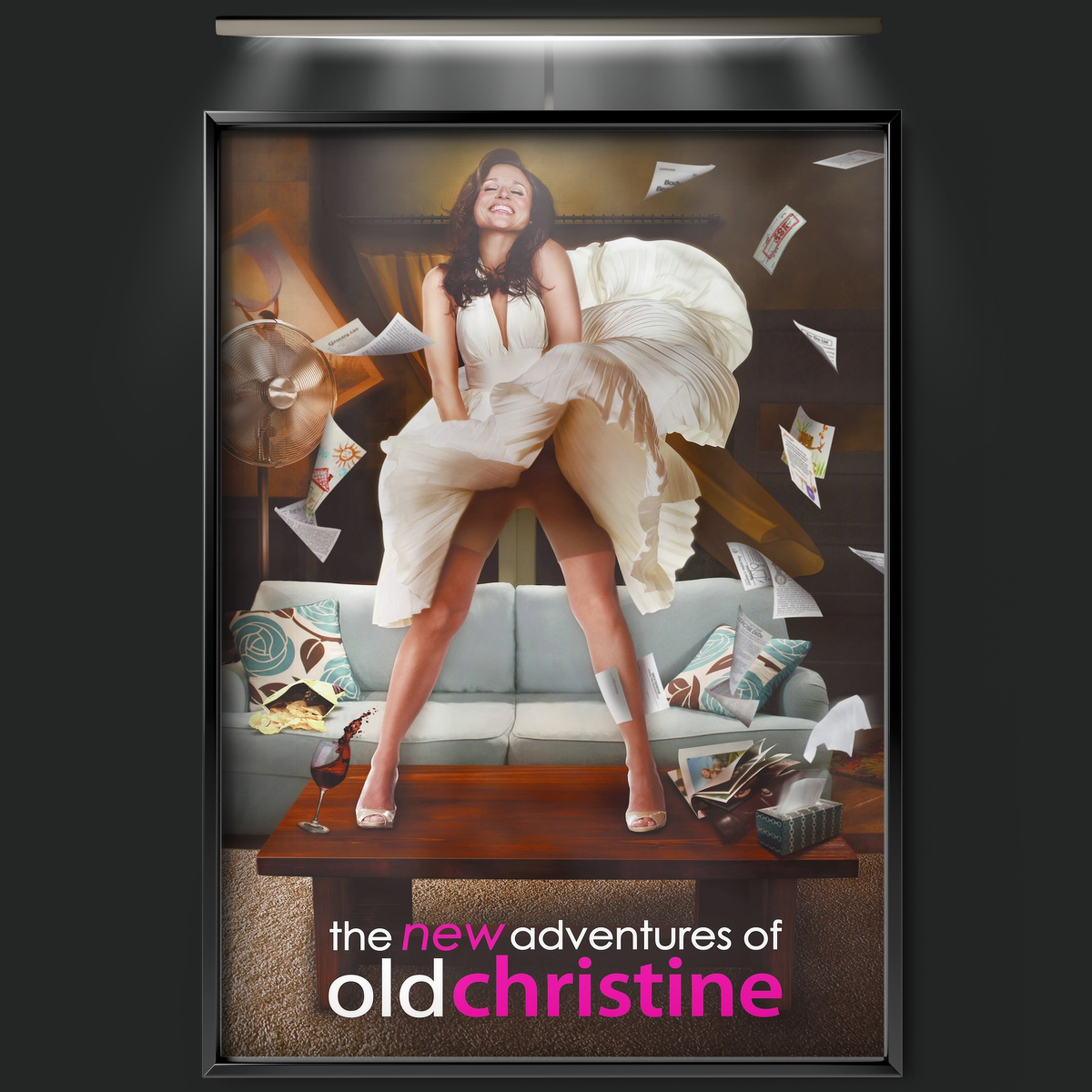 The New Adventures Of Old Christine (2006)