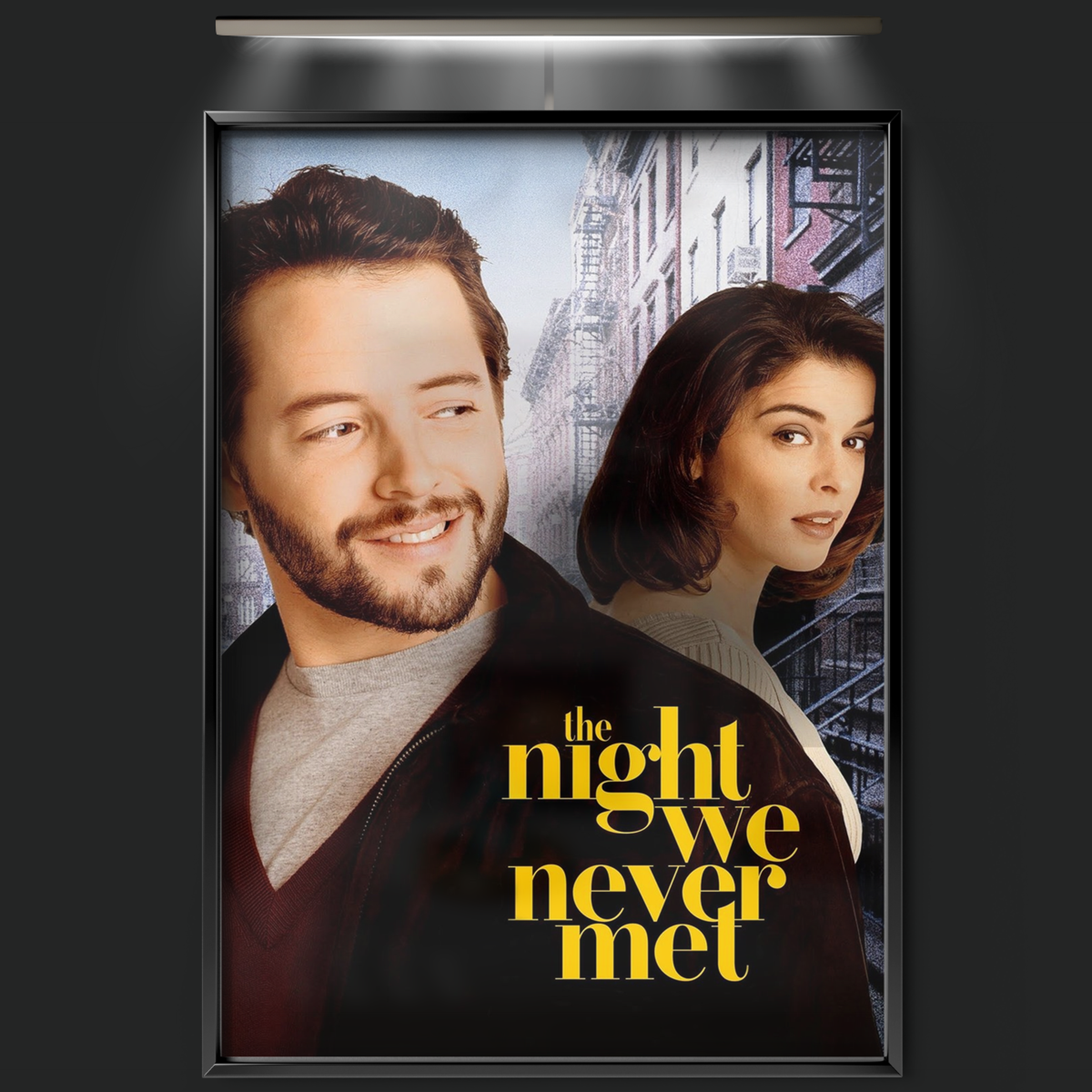 The Night We Never Met (1993)