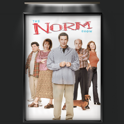 The Norm Show (1999)