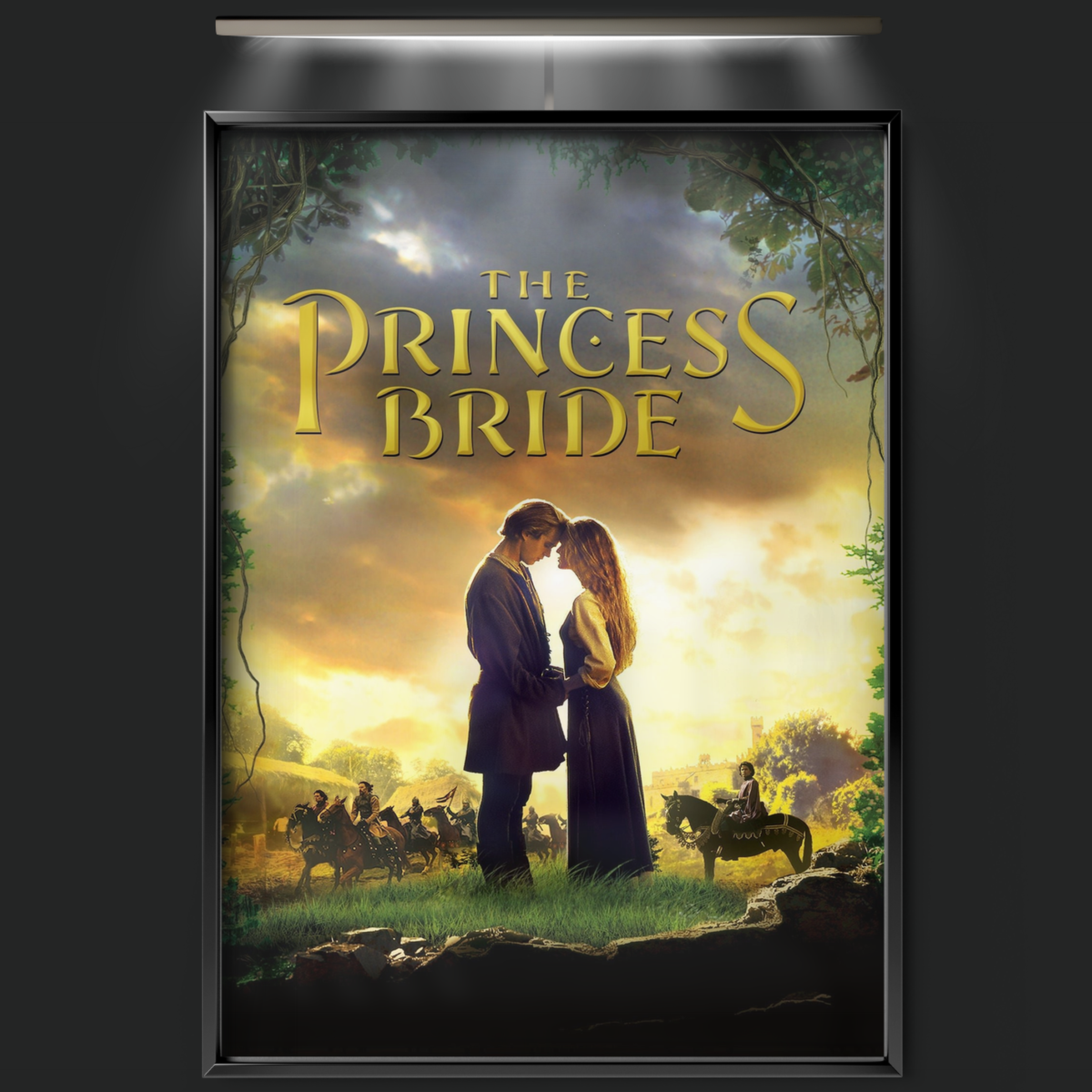 The Princess Bride (1987)