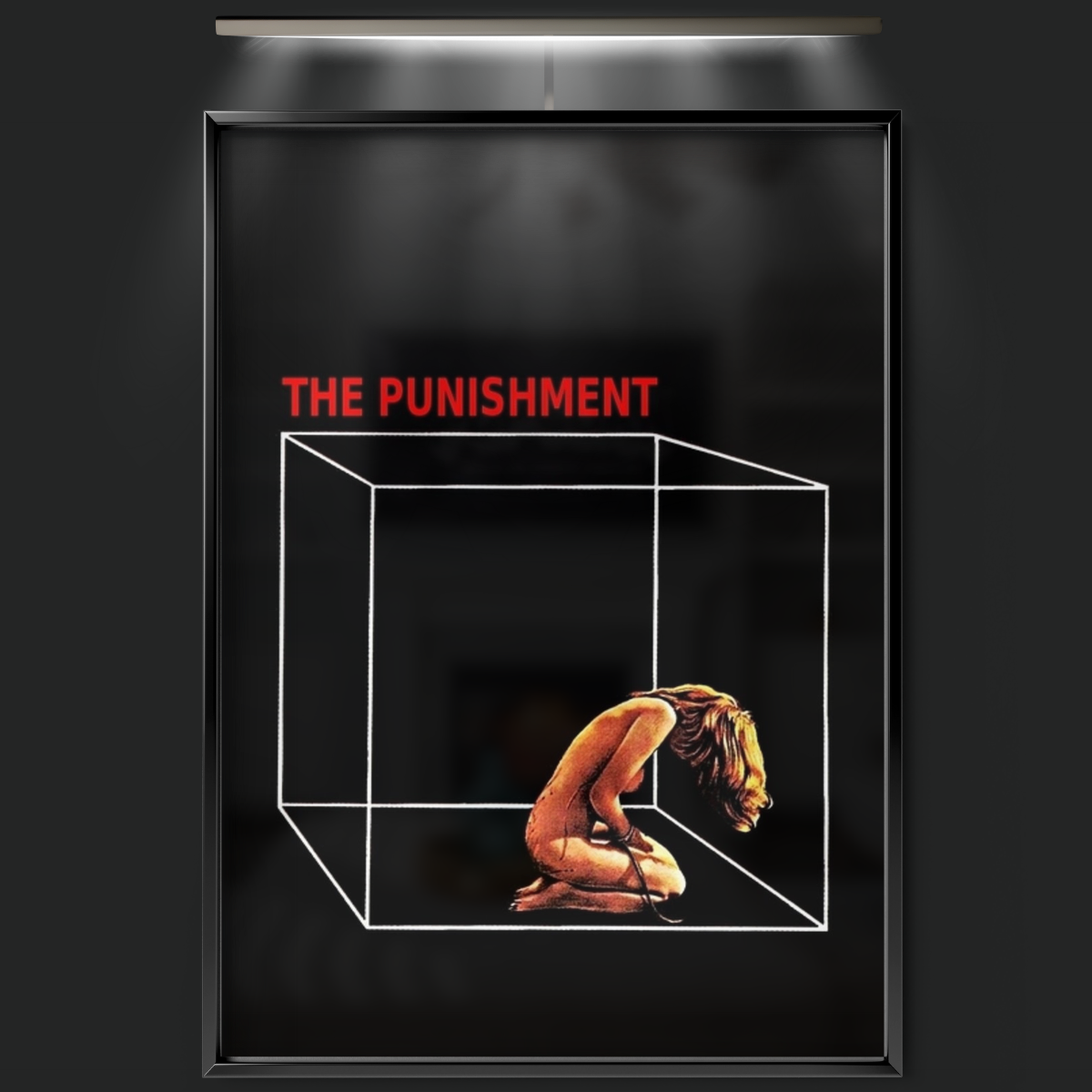 The Punishment (1973)