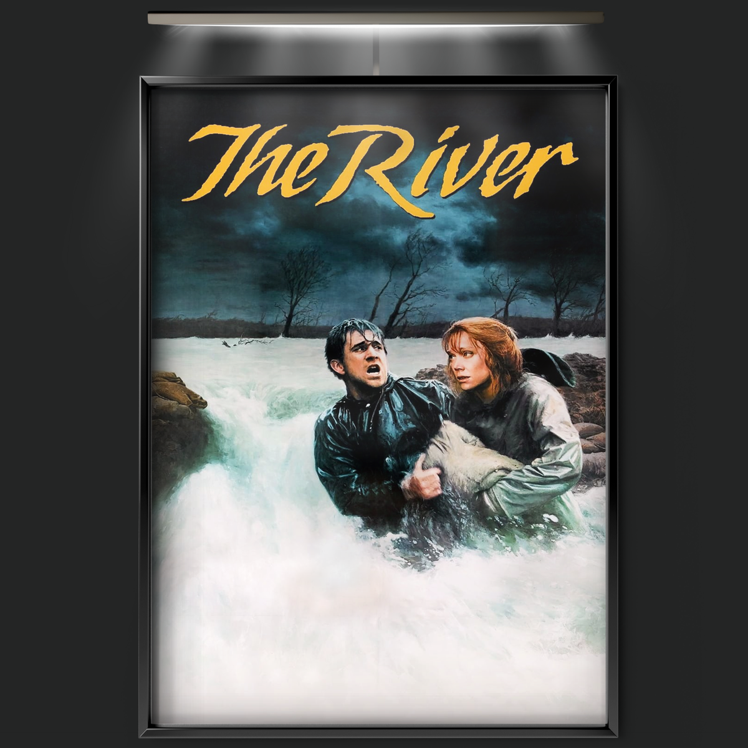 The River (1984)