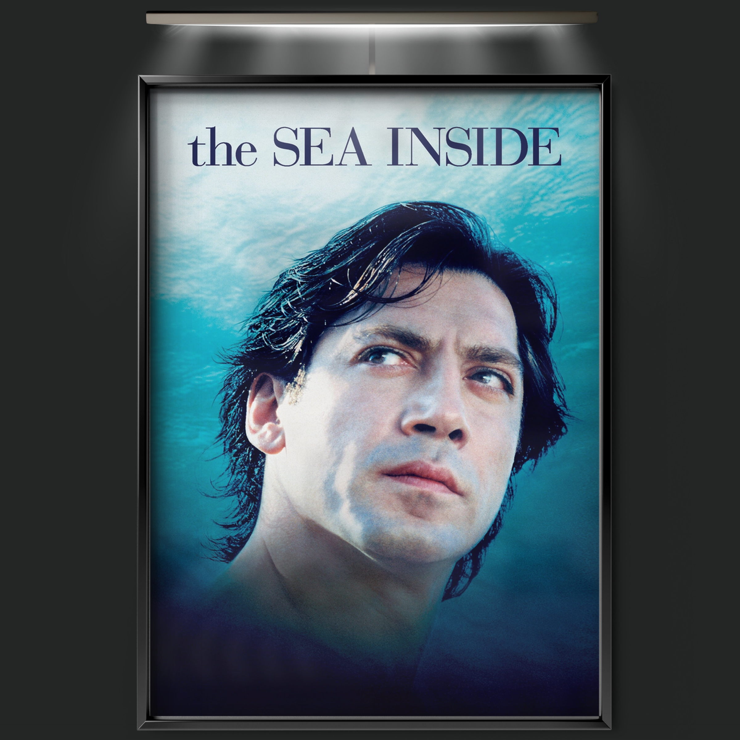 The Sea Inside (2004)