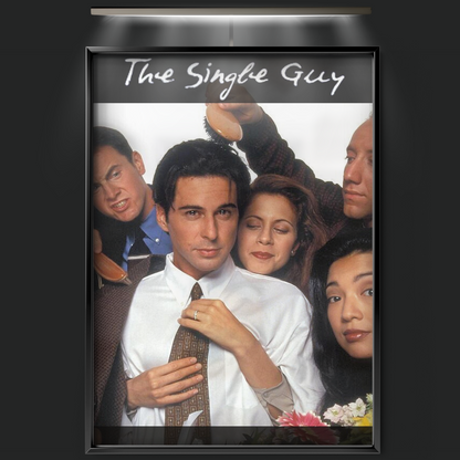 The Single Guy (1995)