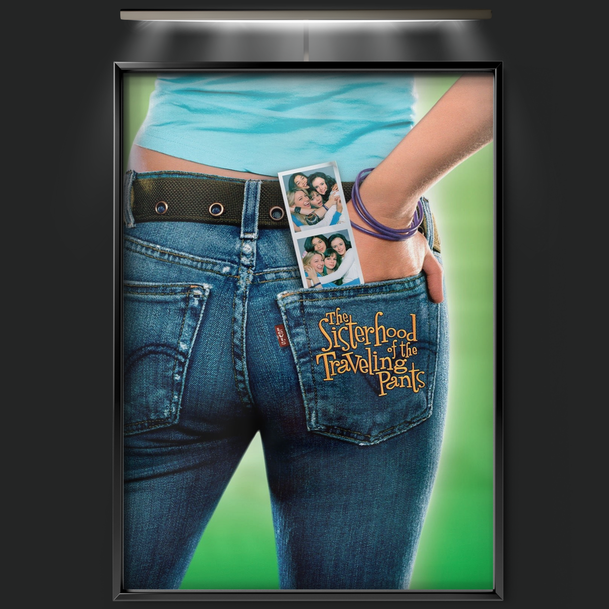 The Sisterhood Of The Traveling Pants (2005)