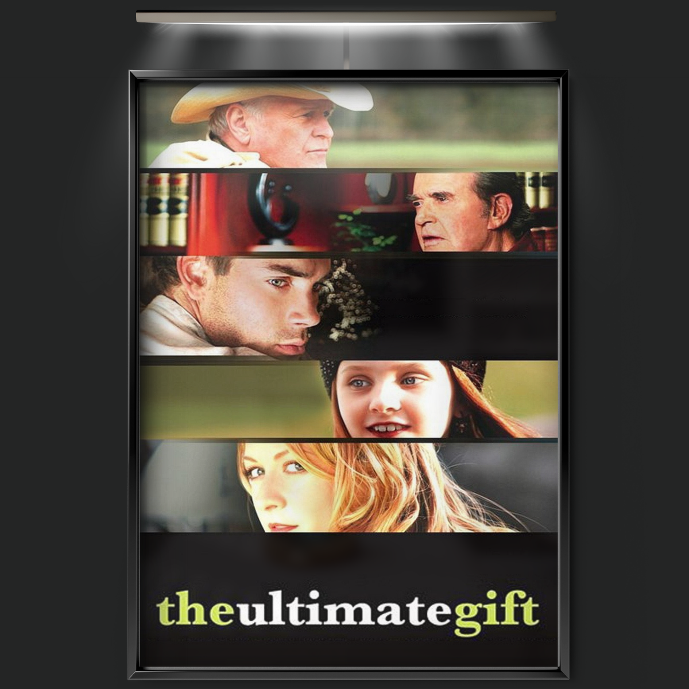 The Ultimate Gift (2007)