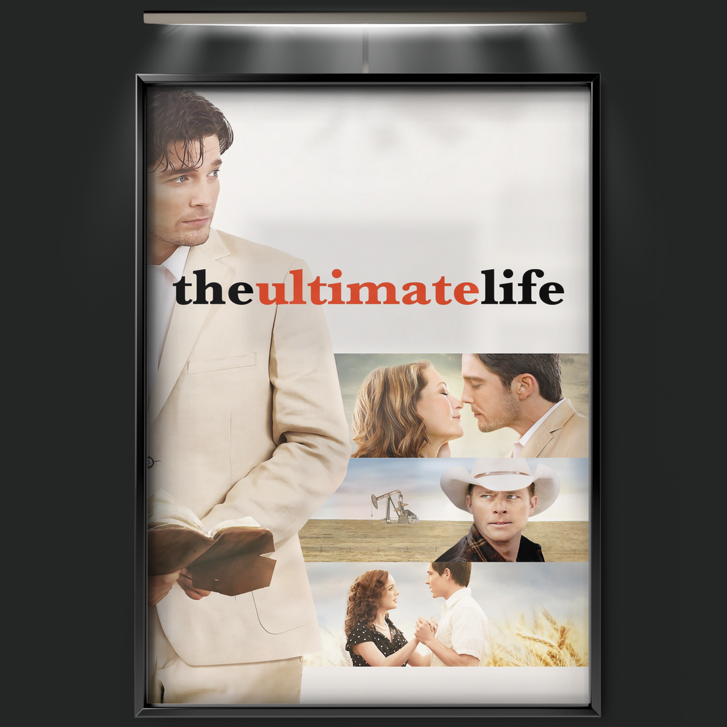 The Ultimate Life (2013)