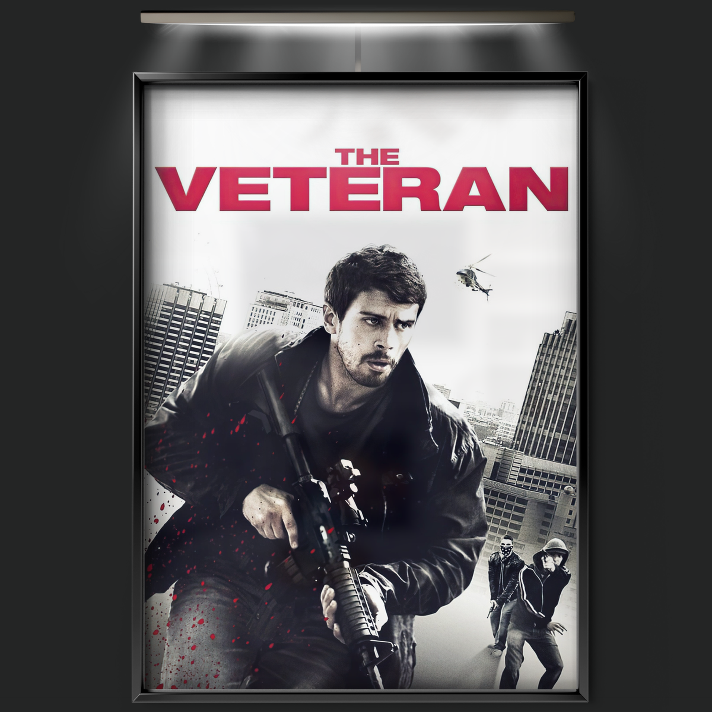 The Veteran (2011)