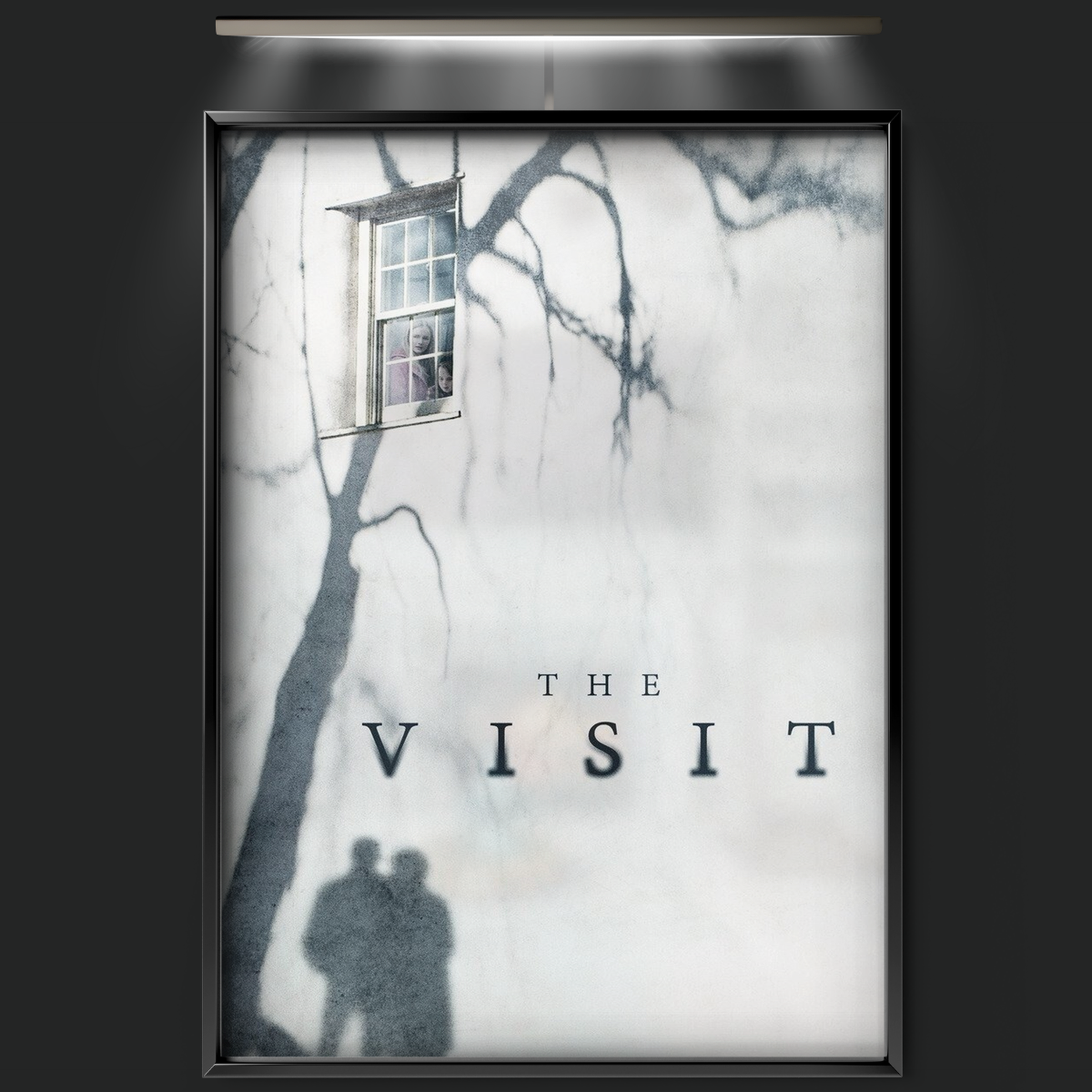 The Visit (2015)