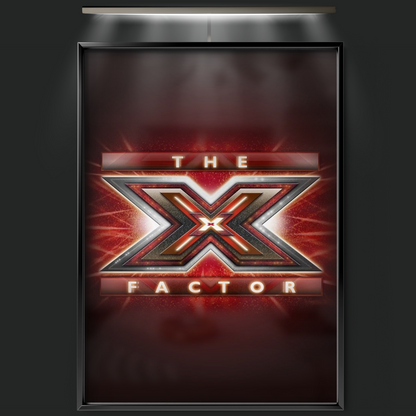 The X Factor (2004)