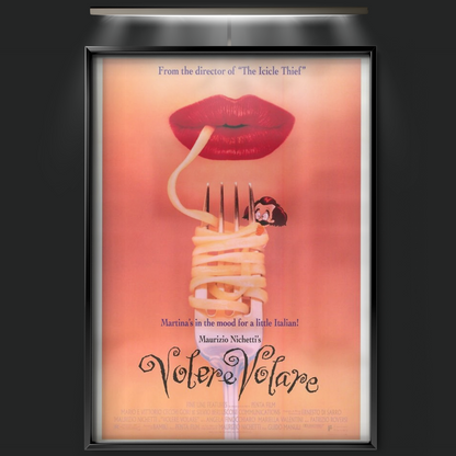 To Want To Fly (1991)