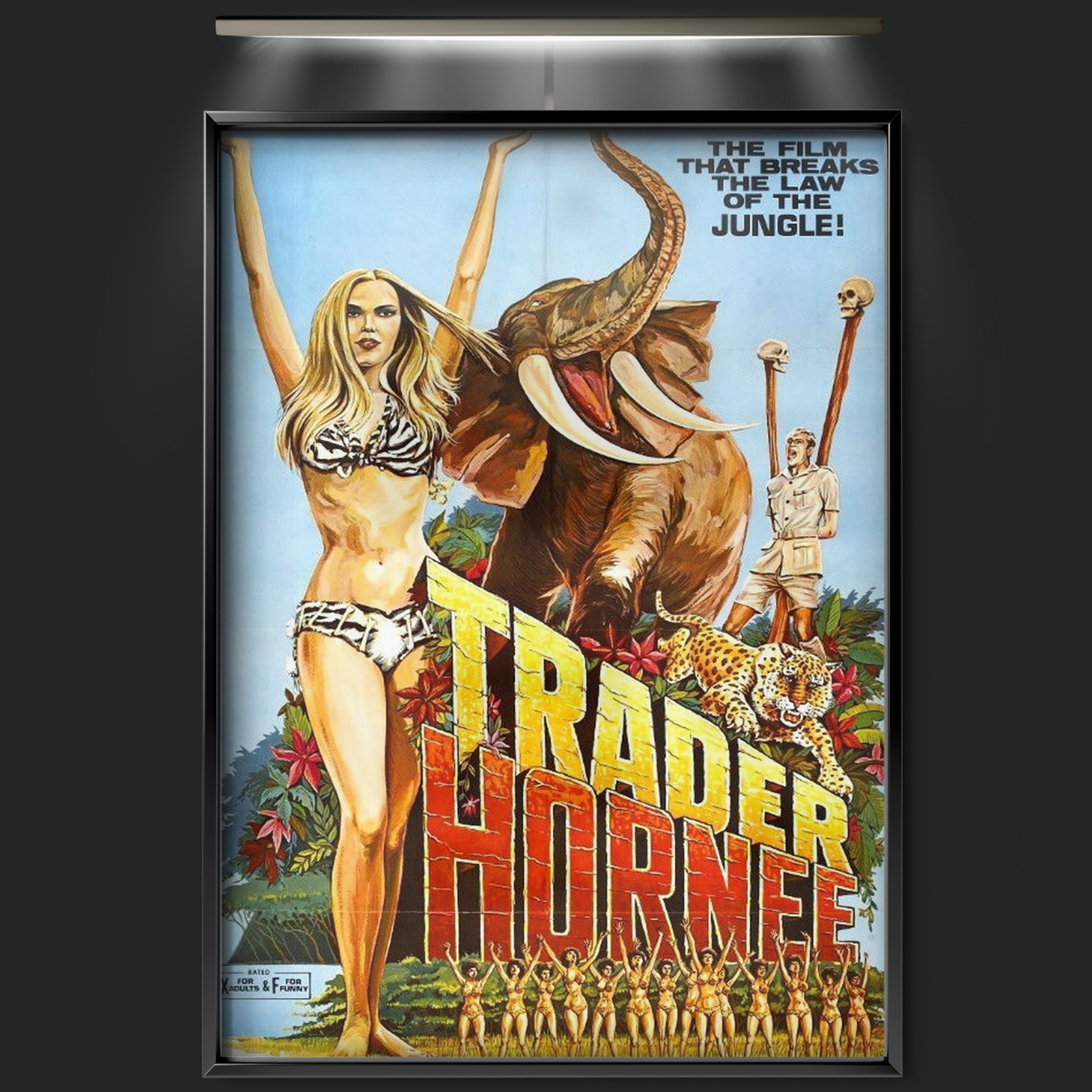 Trader Hornee (1970)