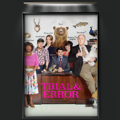 Trial & Error (2017)