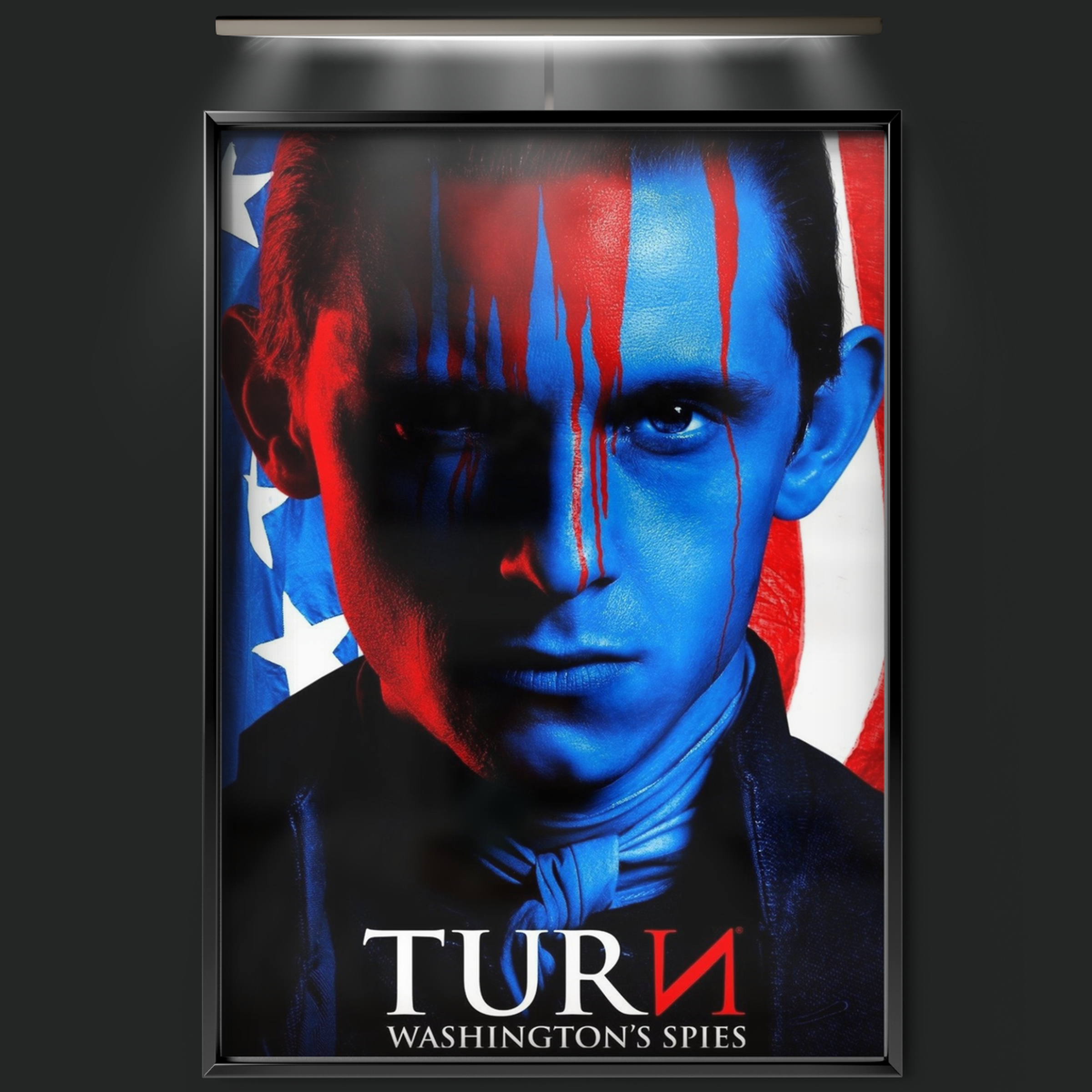 Turn Washington's Spies (2014)