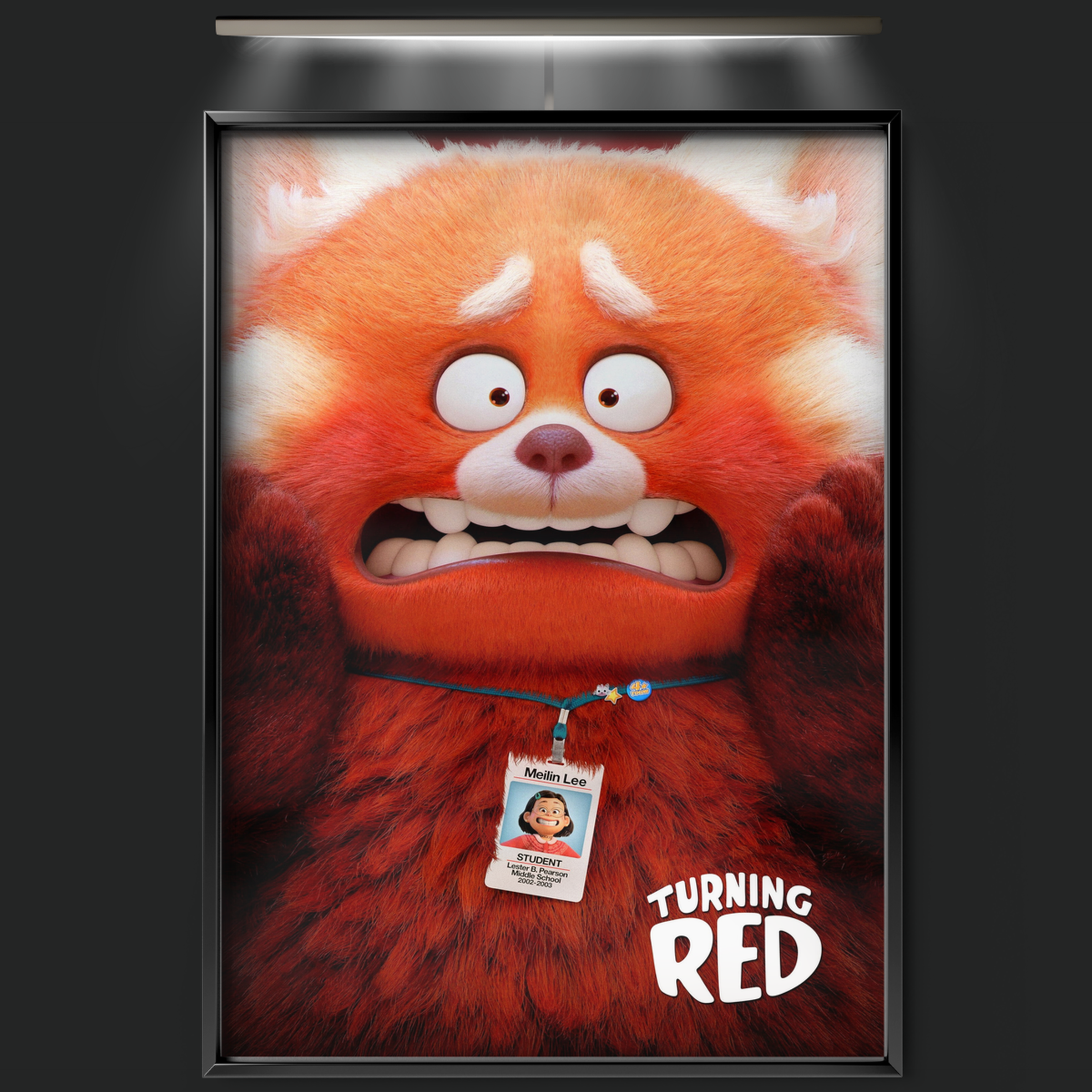 Turning Red (2022)