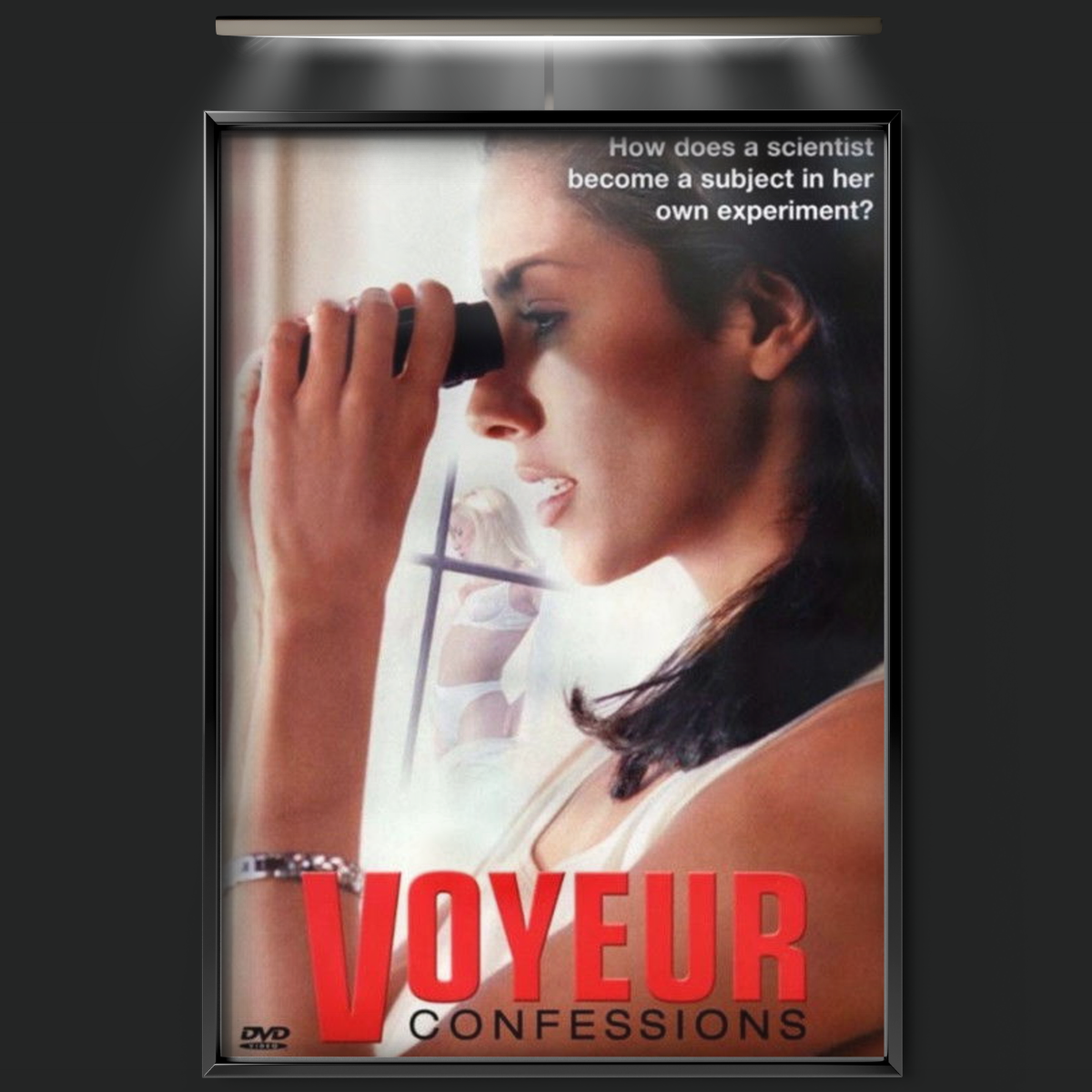 Voyeur Confessions (2001)