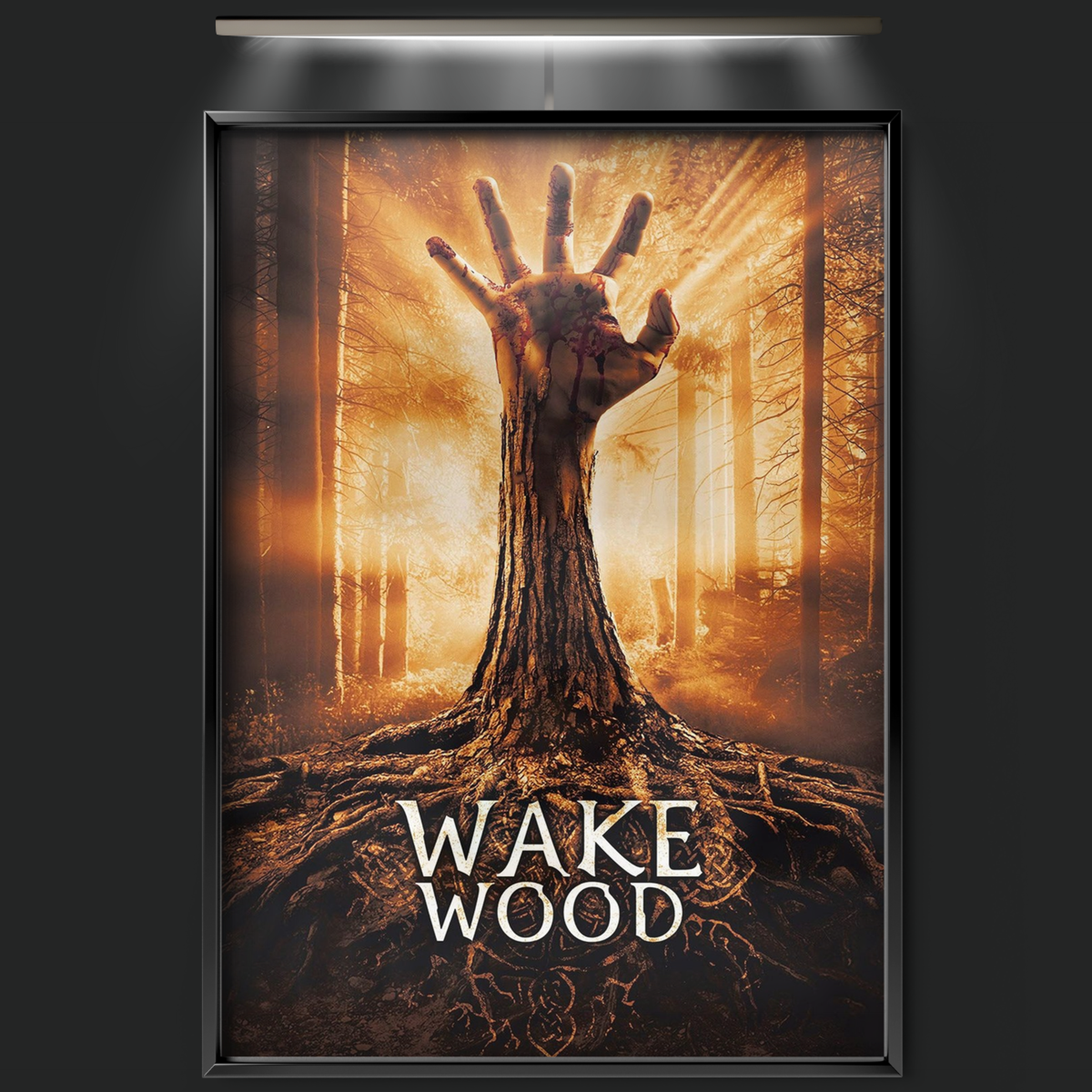 Wake Wood (2011)