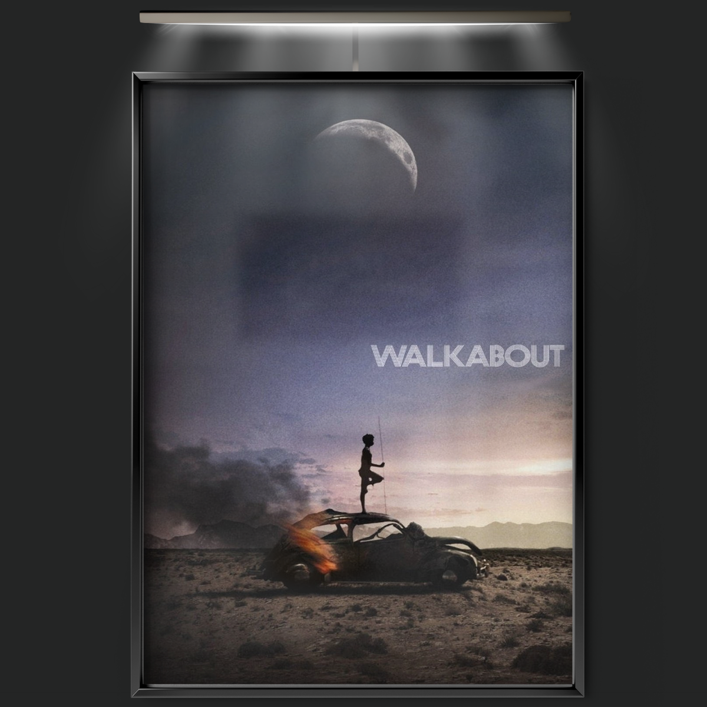 Walkabout (1971)