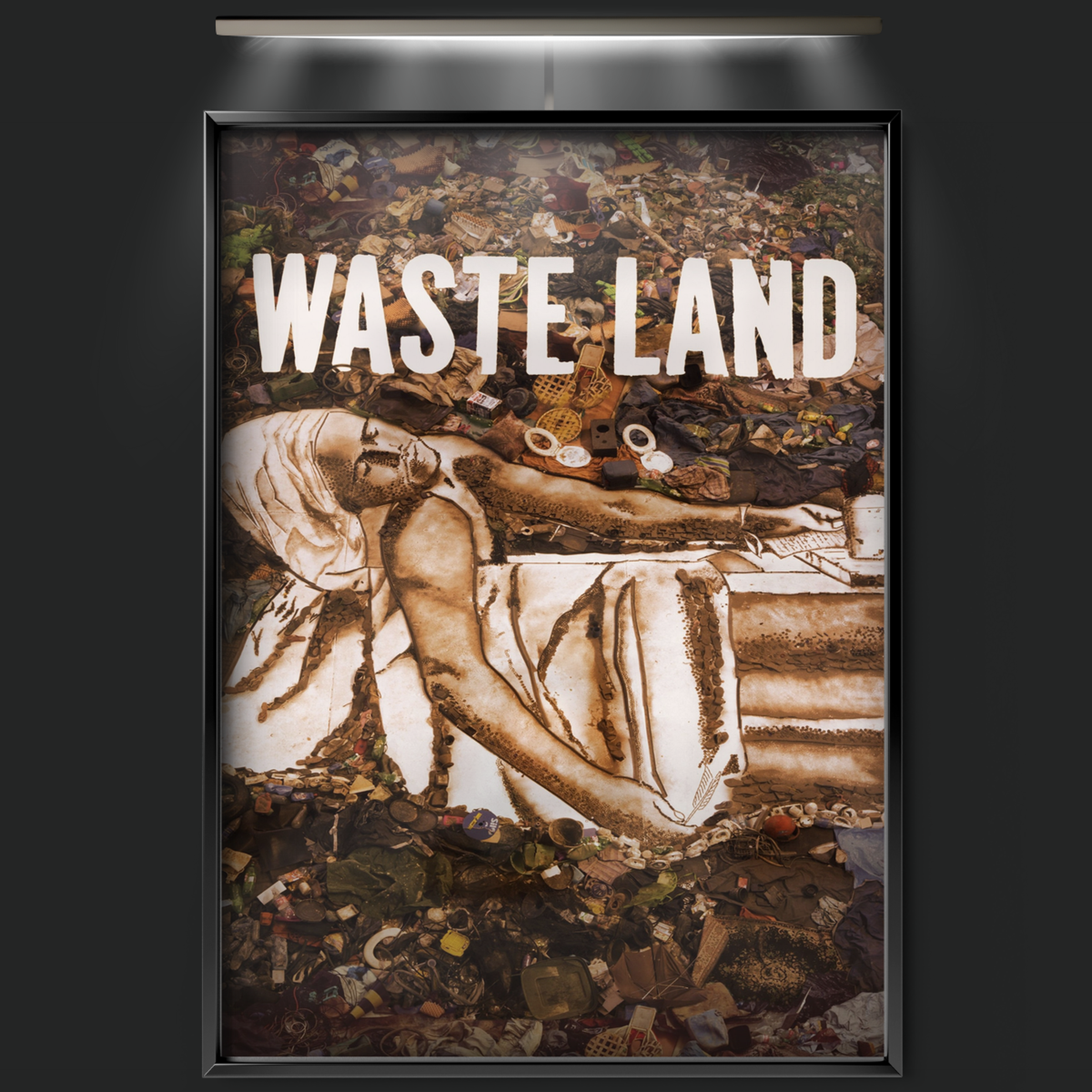 Waste Land (2010)