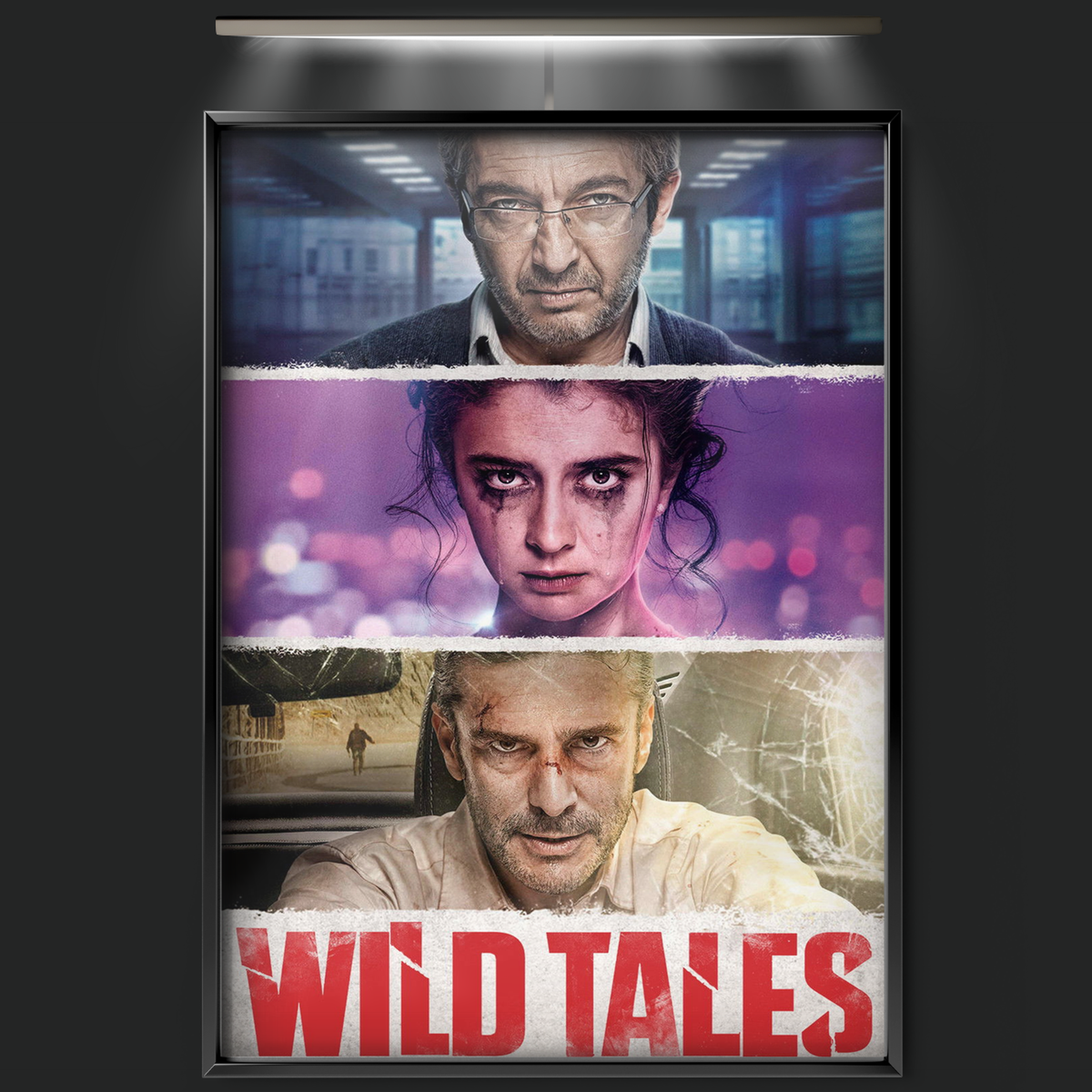Wild Tales (2014)