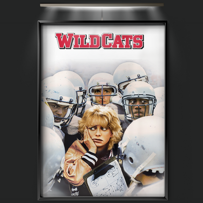 Wildcats (1986)