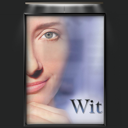 Wit (2001)