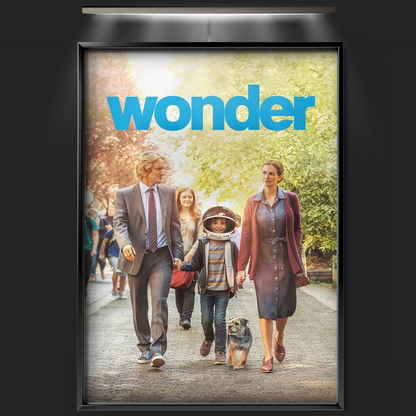 Wonder (2017)