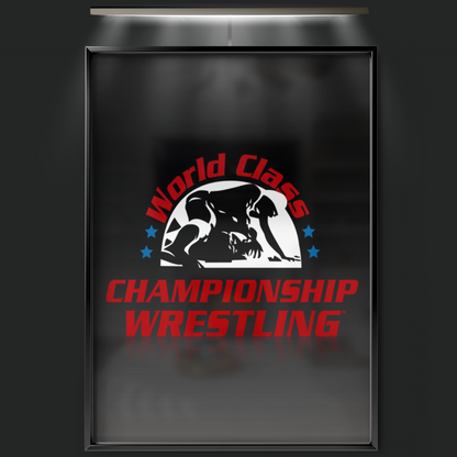 World Class Championship Wrestling (1982)