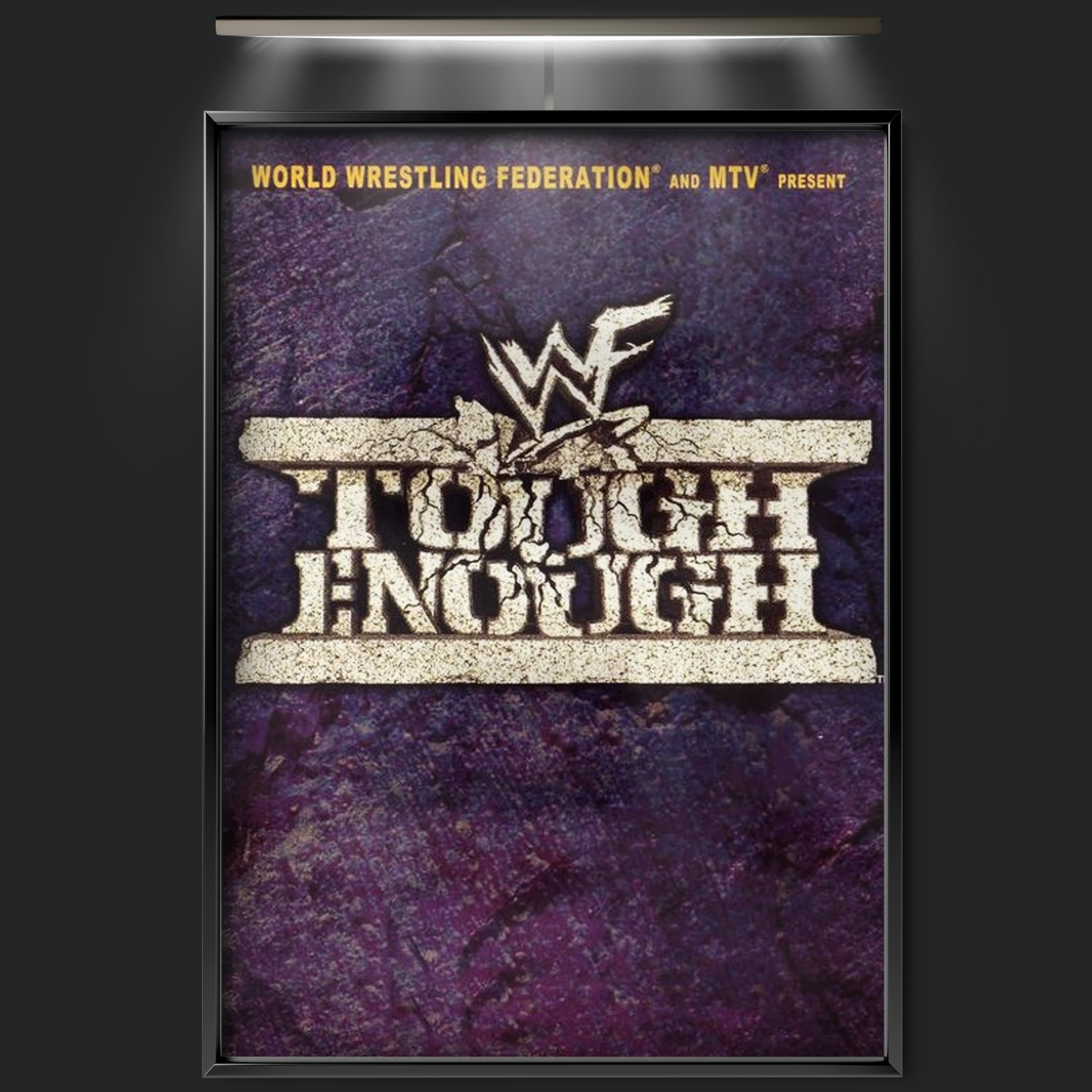 Wwe Tough Enough (2001)
