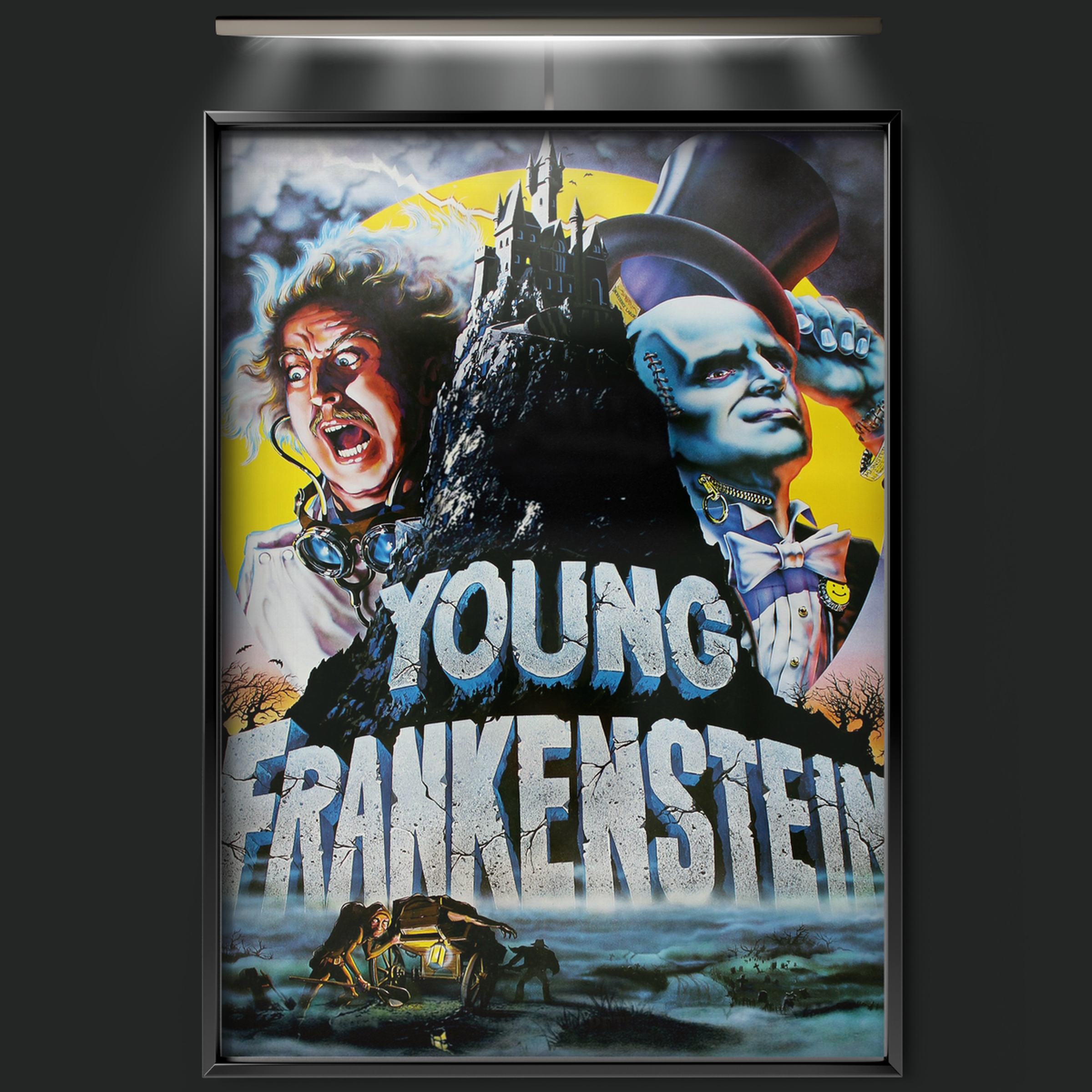 Young Frankenstein (1974)