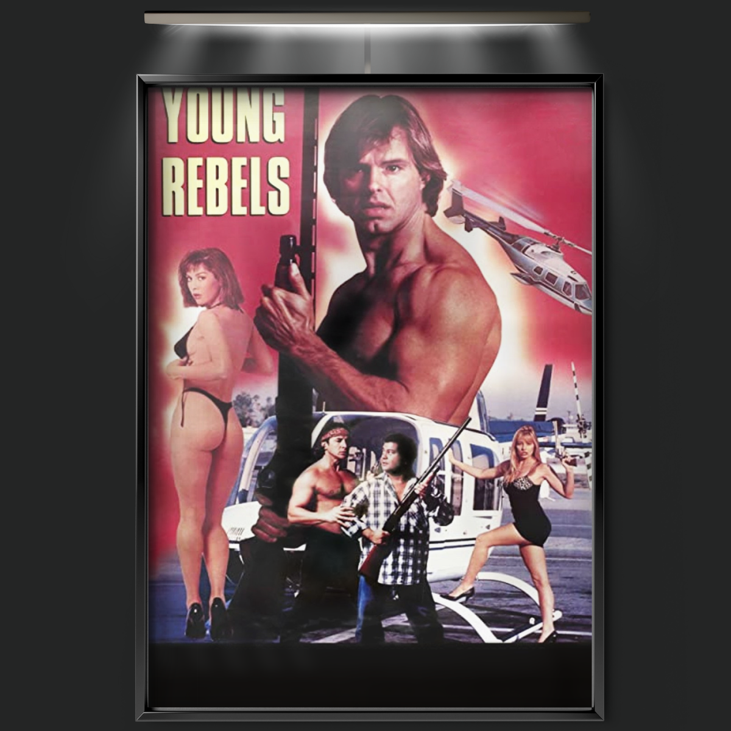 Young Rebels (1989)
