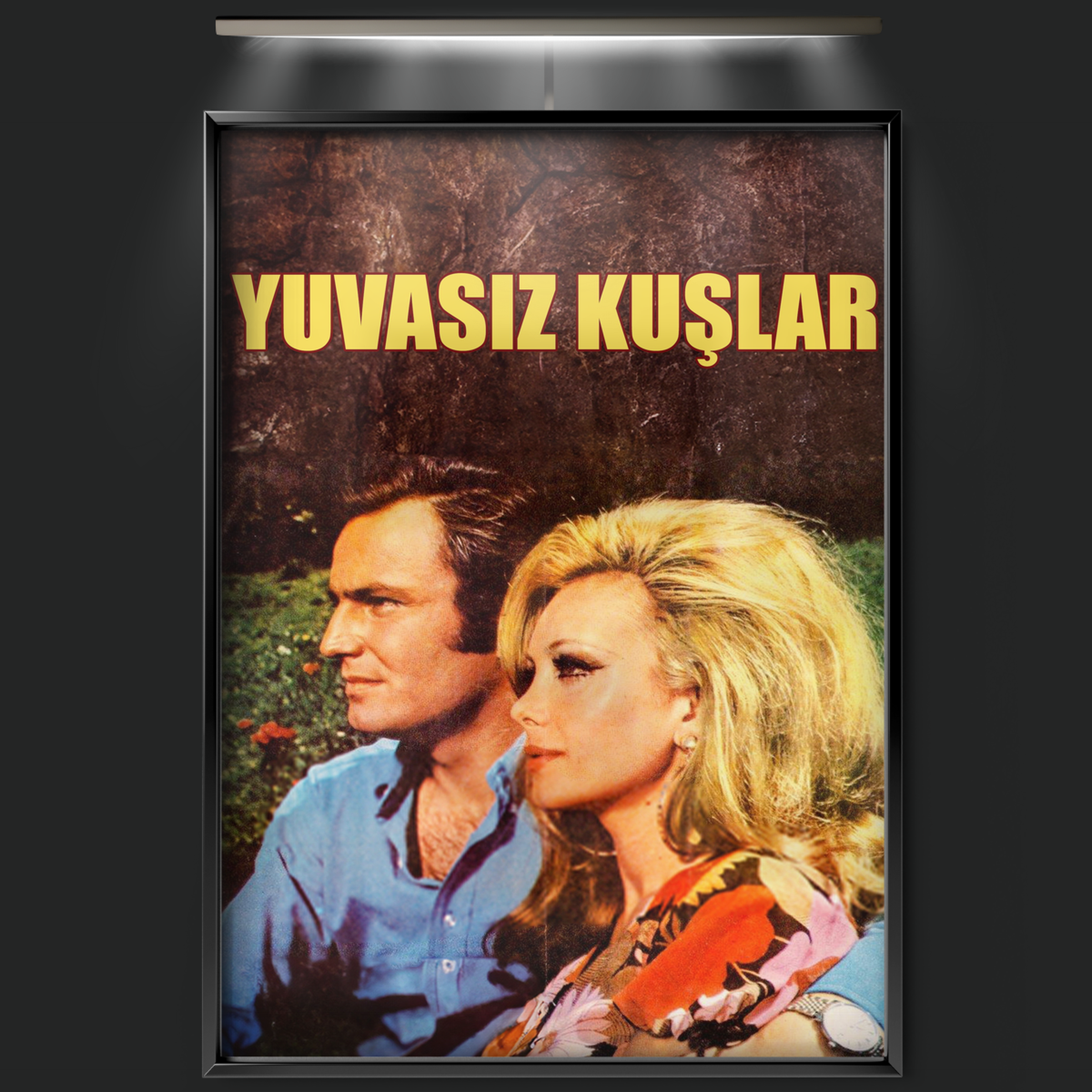 Yuvasız Kuşlar (1971)