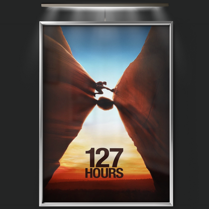 127 Hours (2010)
