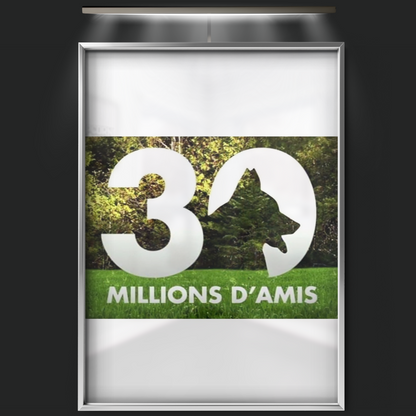 30 Millions D'amis (1976)