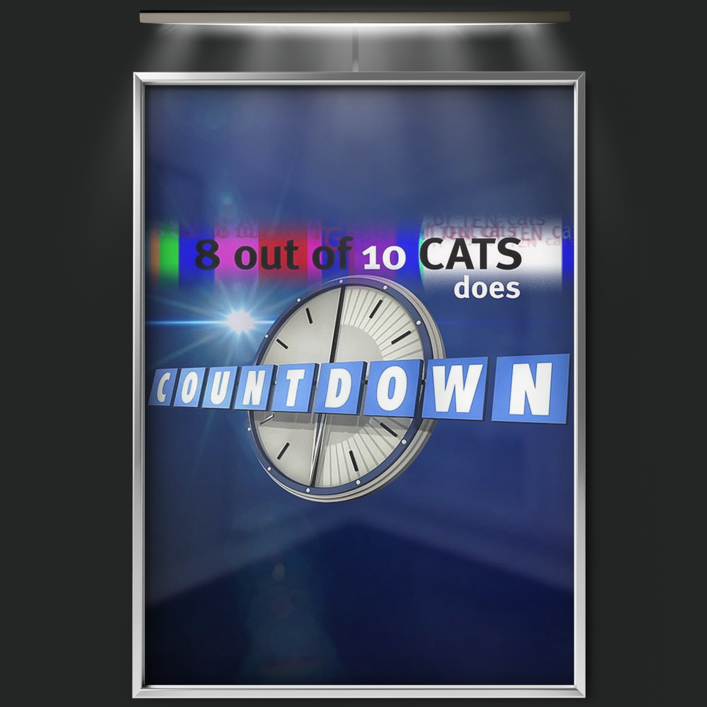 8 Out Of 10 Cats Does Countdown (2013)