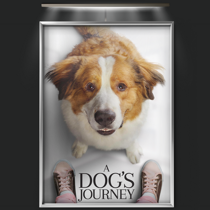 A Dog's Journey (2019)