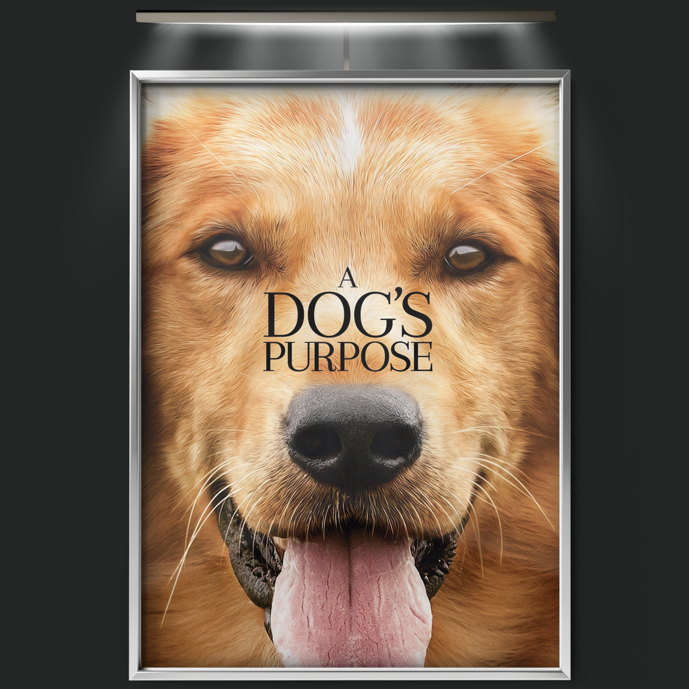 A Dog's Purpose (2017)