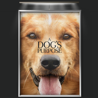 A Dog's Purpose (2017)