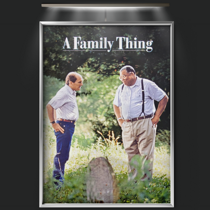 A Family Thing (1996)