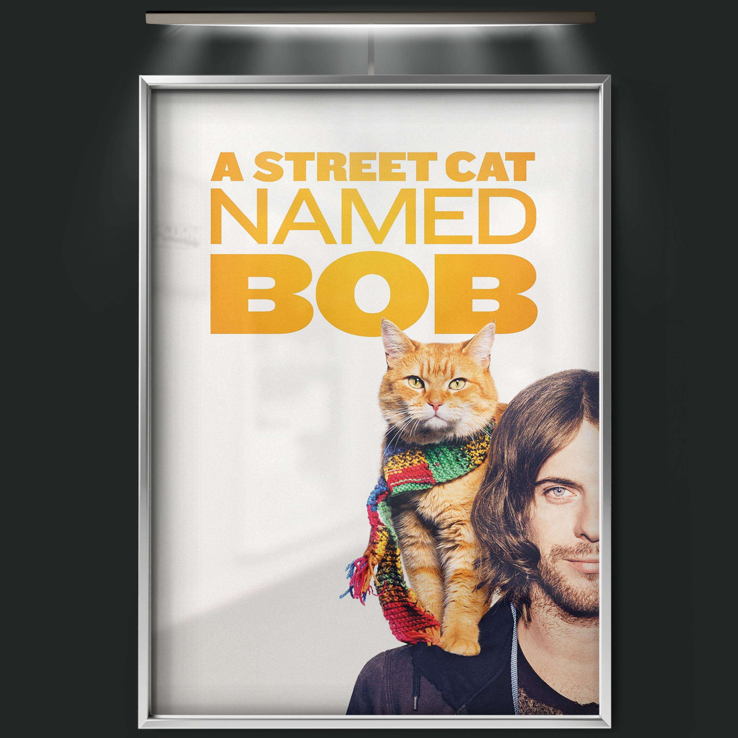 A Street Cat Named Bob (2016)