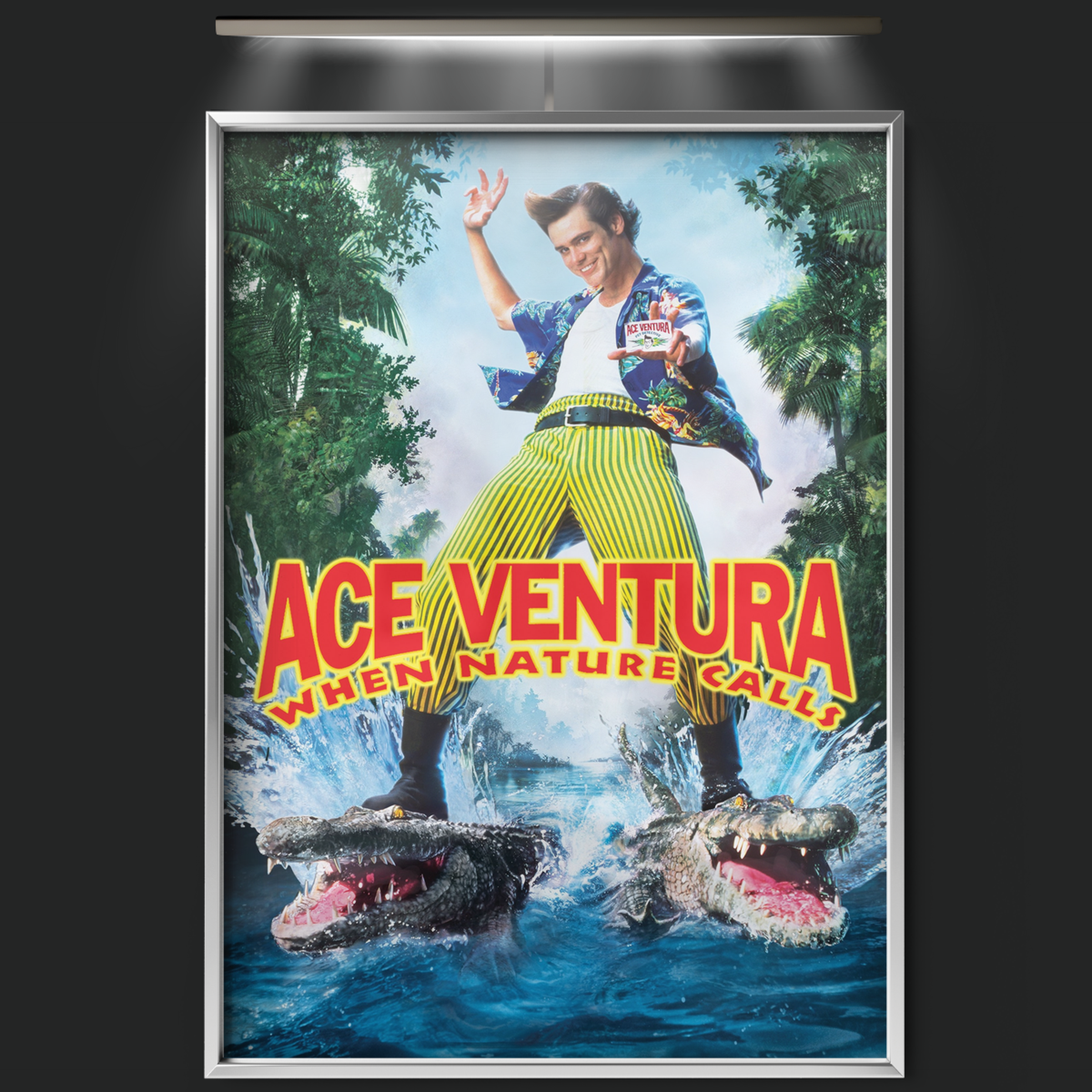 Ace Ventura When Nature Calls (1995)