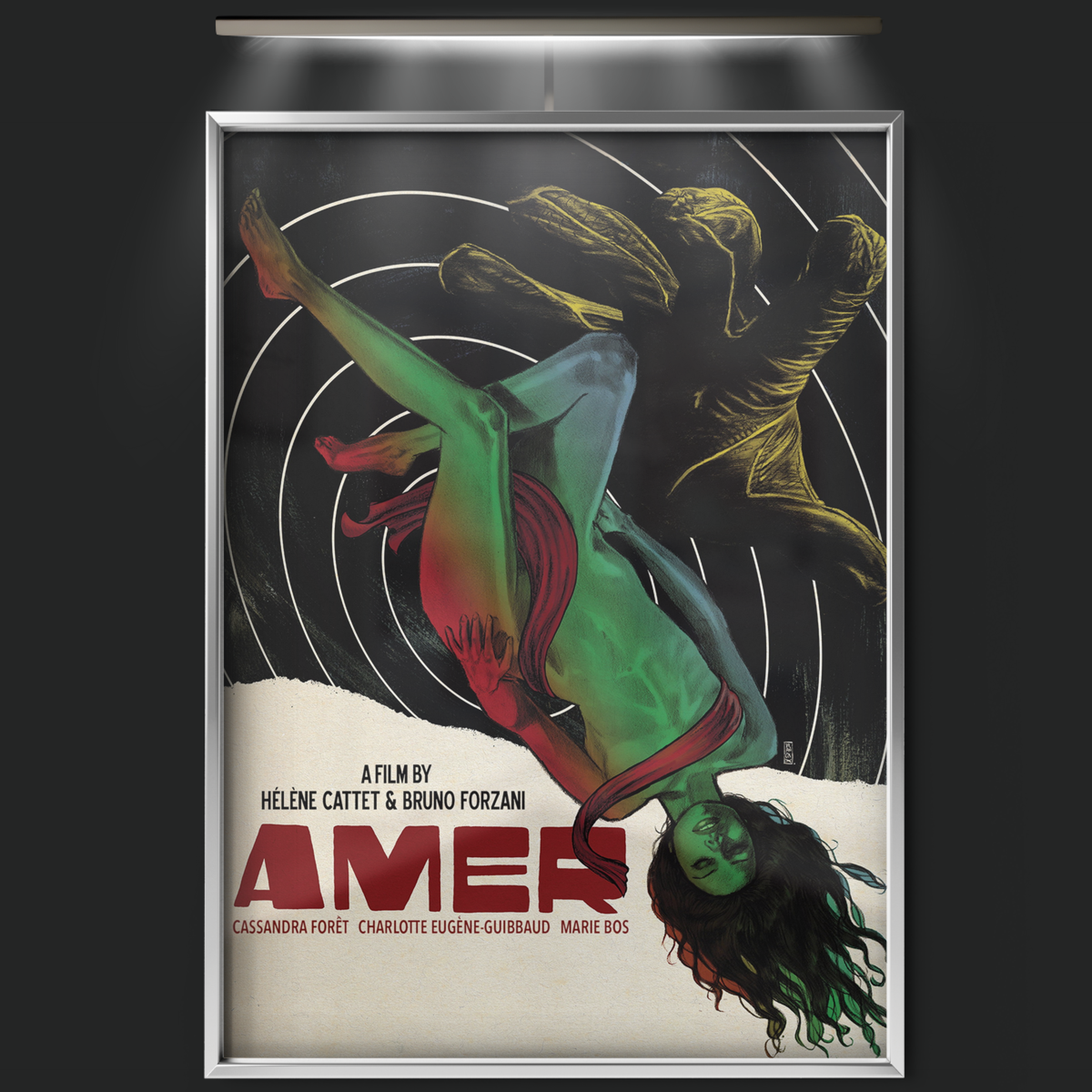 Amer (2009)