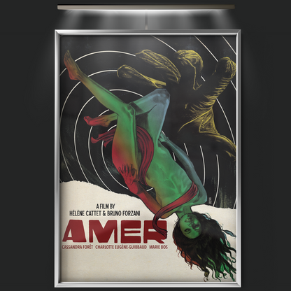 Amer (2009)