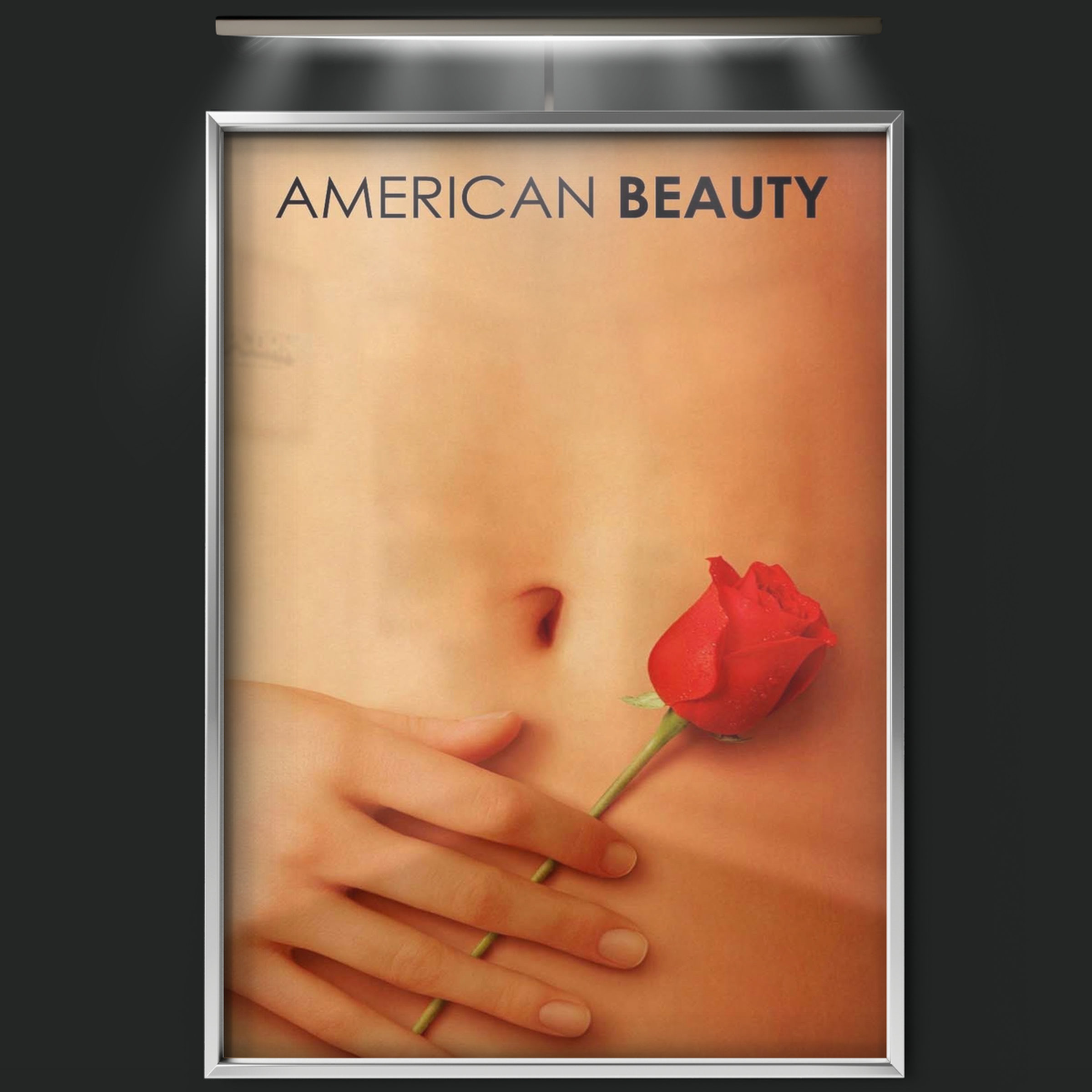 American Beauty (1999)