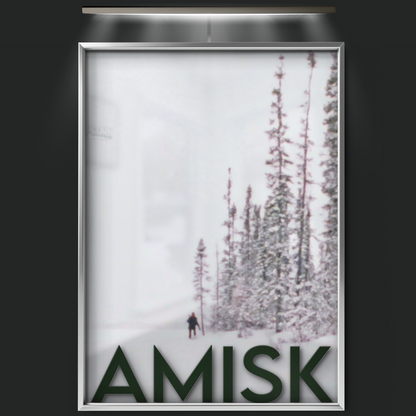 Amisk (1977)