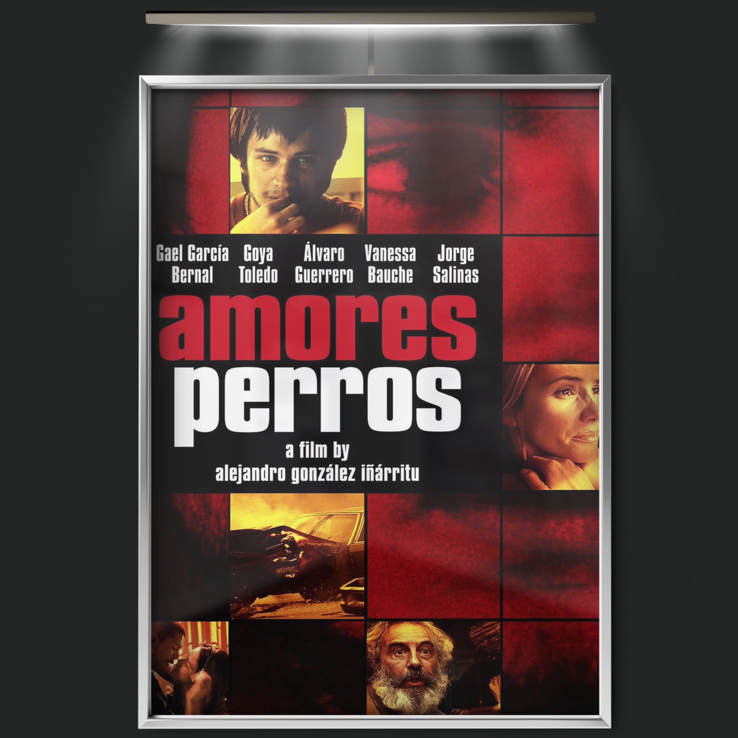 Amores Perros (2000)